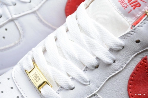 AIR 1 FO NIKE LOW FORCE FI AQ5107-100 FO 1228